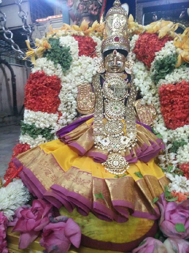Keelkattalai Sri Padmavathi Thayar Aadi velli unjal sevai -2015 03