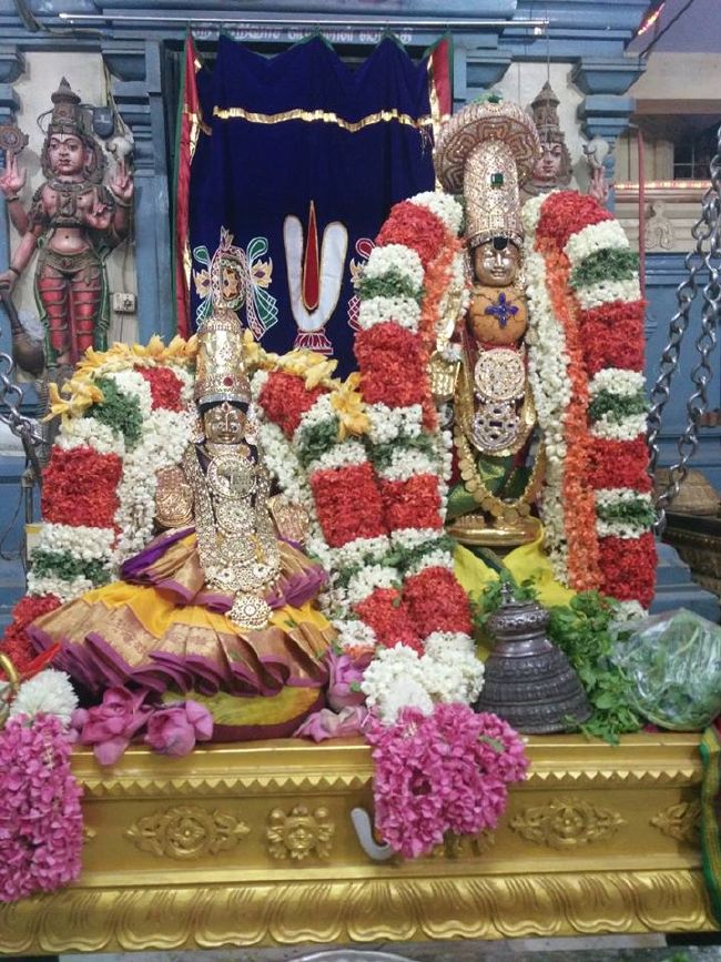 Keelkattalai Sri Padmavathi Thayar Aadi velli unjal sevai -2015 12