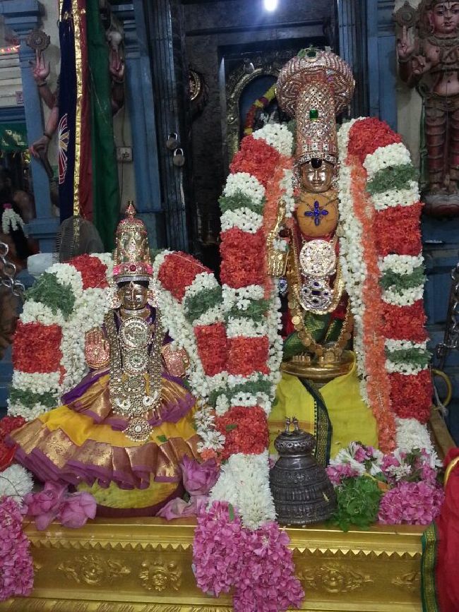 Keelkattalai Sri Padmavathi Thayar Aadi velli unjal sevai -2015 14