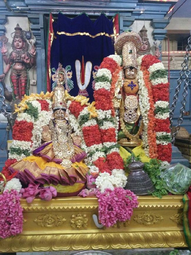 Keelkattalai Sri Padmavathi Thayar Aadi velli unjal sevai -2015 15