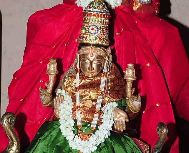 Kethandapatti Sri Aravamudhan Sannadhi THiruvadipooram Utsavam -2015 05