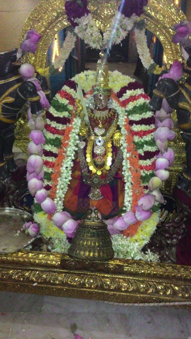 Kooram Sri Adhikesava Perumal Temple aadi velli thayar purappadu-2015-09