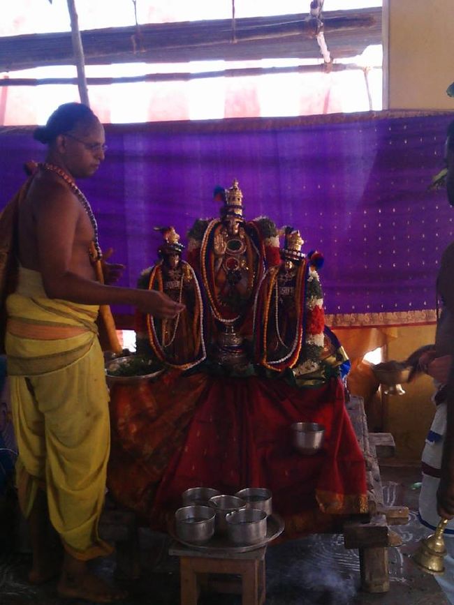 Kulithalai Neelamega Perumal Temple Pavithrotsavam 2015 11
