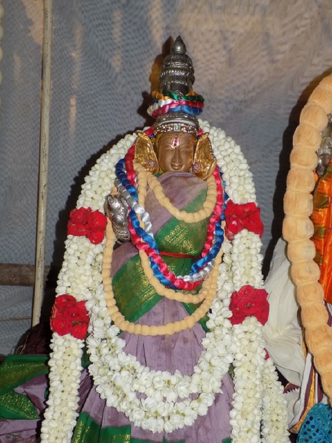 Madipakkam Sri Oppilliappan Pattabhisheka Ramar Temple Manmadha Varusha Thiru Pavithrothsavam 14