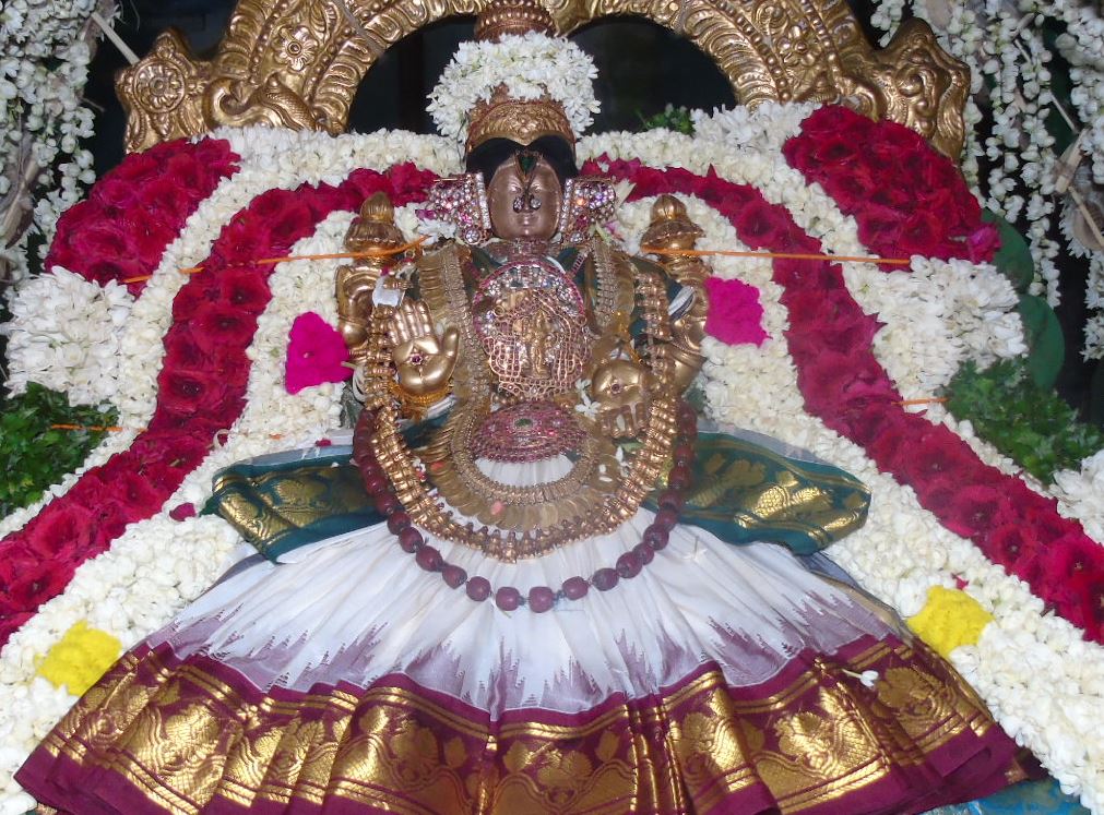 Mannargudi Sri Rajagopalan thiruvadipooram pushpa pallaku 2015-1