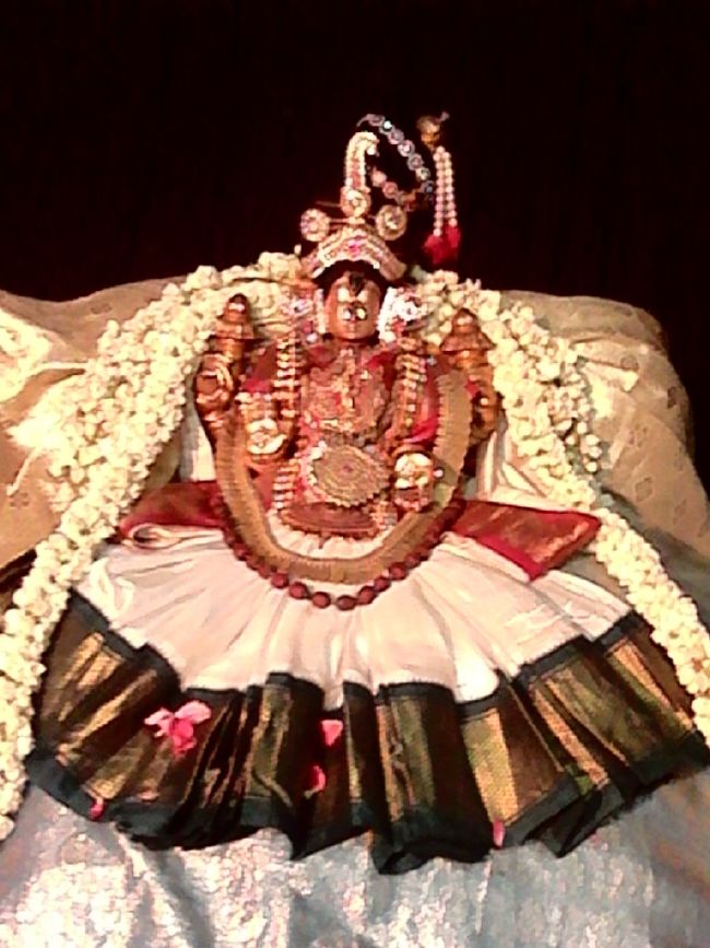 Mannargudi Sri Rajagopalaswami Temple Thiruaadipooram Utsavam day 1 -6 -2015 05