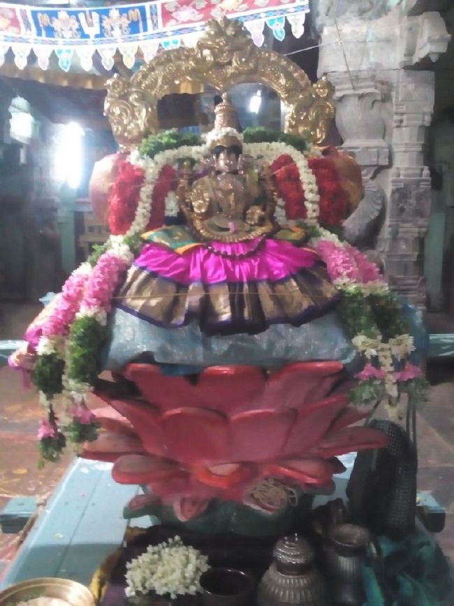 Mannargudi Sri Rajagopalaswami Temple Thiruaadipooram Utsavam day 1 -6 -2015 11