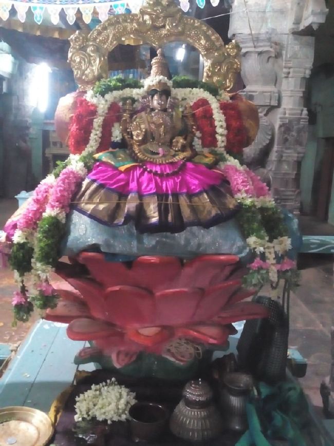 Mannargudi Sri Rajagopalaswami Temple Thiruaadipooram Utsavam day 1 -6 -2015 12