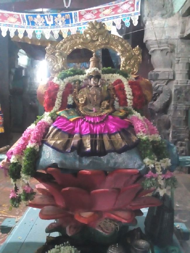Mannargudi Sri Rajagopalaswami Temple Thiruaadipooram Utsavam day 1 -6 -2015 13