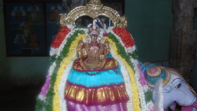 Mannargudi Sri Rajagopalaswami Temple Thiruaadipooram Utsavam day 1 -6 -2015 14