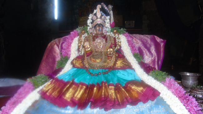 Mannargudi Sri Rajagopalaswami Temple Thiruaadipooram Utsavam day 1 -6 -2015 16