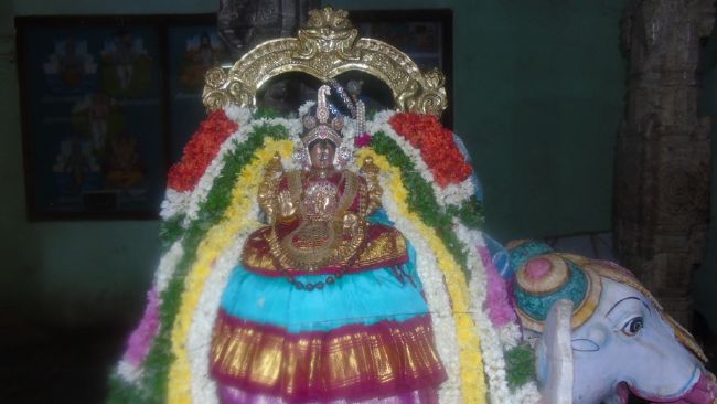 Mannargudi Sri Rajagopalaswami Temple Thiruaadipooram Utsavam day 1 -6 -2015 17