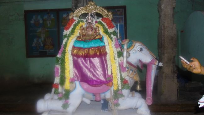 Mannargudi Sri Rajagopalaswami Temple Thiruaadipooram Utsavam day 1 -6 -2015 18