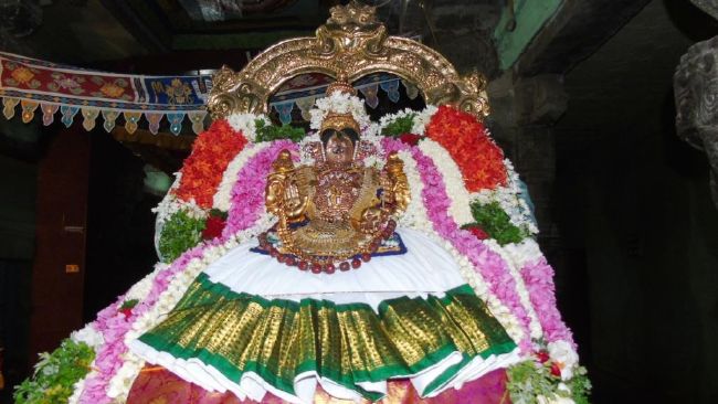 Mannargudi Sri Rajagopalaswami Temple  Thiruvadipoora utsavam day 4-2015 13