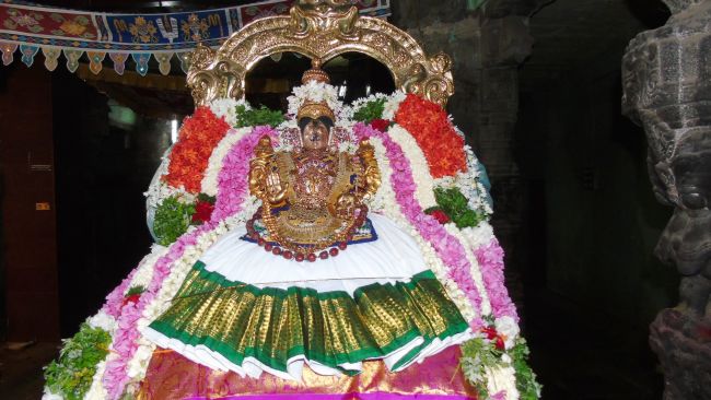 Mannargudi Sri Rajagopalaswami Temple  Thiruvadipoora utsavam day 4-2015 14