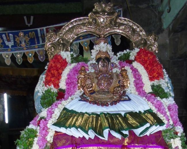 Mannargudi Sri Rajagopalaswami Temple  Thiruvadipoora utsavam day 4-2015 16