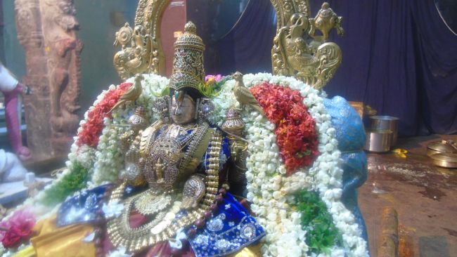 Mannargudi Sri Rajagopalaswami Temple Thiruvadipooram Utsavam THiruther -2015 12