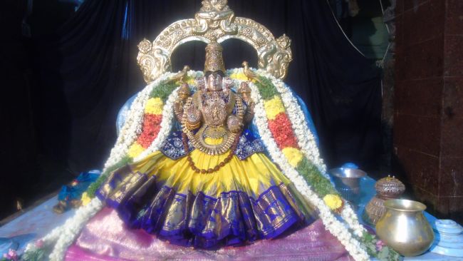 Mannargudi Sri Rajagopalaswami Temple Thiruvadipooram Utsavam THiruther -2015 18
