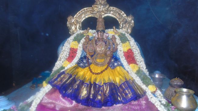 Mannargudi Sri Rajagopalaswami Temple Thiruvadipooram Utsavam THiruther -2015 19