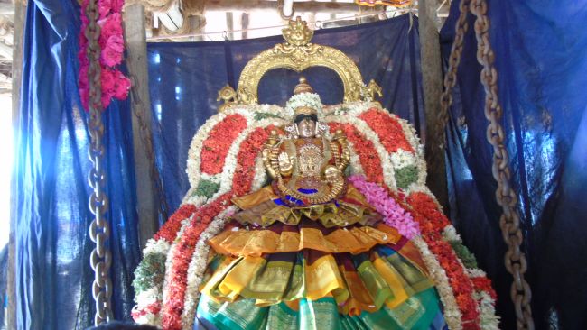 Mannargudi Sri Rajagopalaswami Temple Thiruvadipooram Utsavam THiruther -2015 20