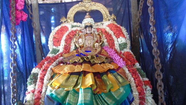 Mannargudi Sri Rajagopalaswami Temple Thiruvadipooram Utsavam THiruther -2015 21