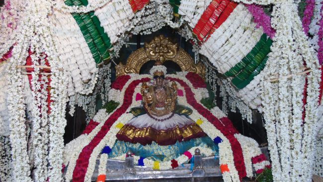 Mannargudi Sri Rajagopalaswami temple Thiruvadipooram utsavam Pushpa Pallakku -2015 04