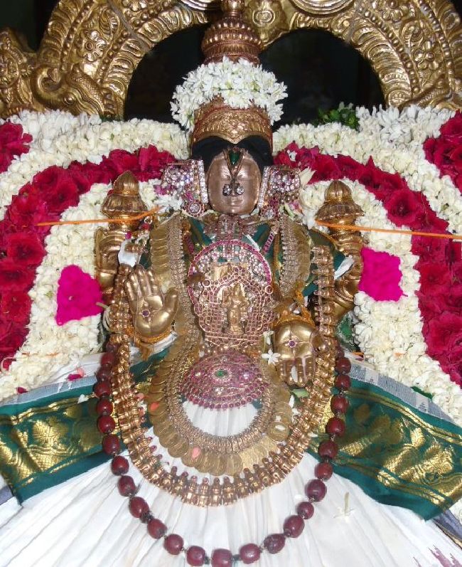 Mannargudi Sri Rajagopalaswami temple Thiruvadipooram utsavam Pushpa Pallakku -2015 06