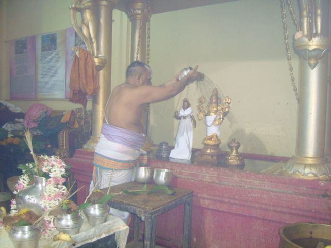 Mumbai Sri Balaji Mandir Thiruvadipooram Utsavam day 3-2015 02
