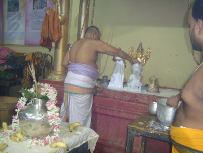 Mumbai Sri Balaji Mandir Thiruvadipooram Utsavam day 3-2015 05
