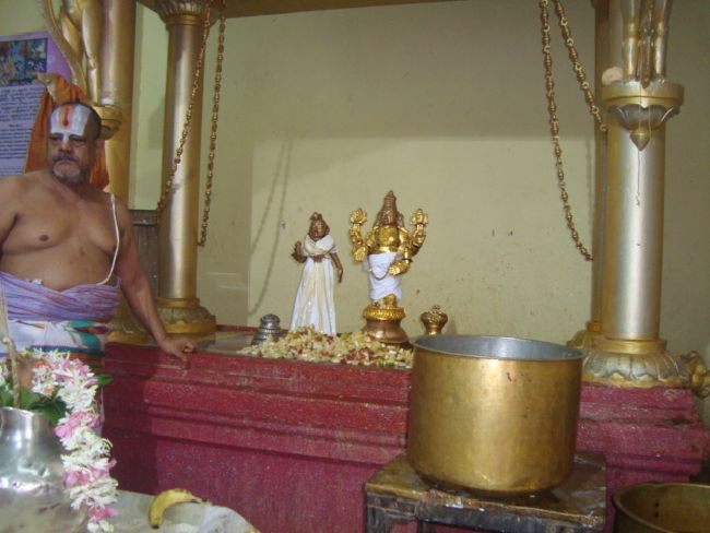 Mumbai Sri Balaji Mandir Thiruvadipooram Utsavam day 3-2015 07