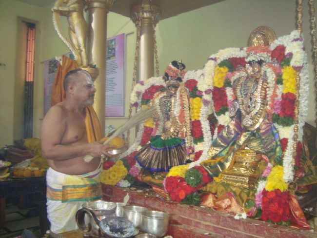 Mumbai Sri Balaji Mandir Thiruvadipooram Utsavam day 3-2015 27