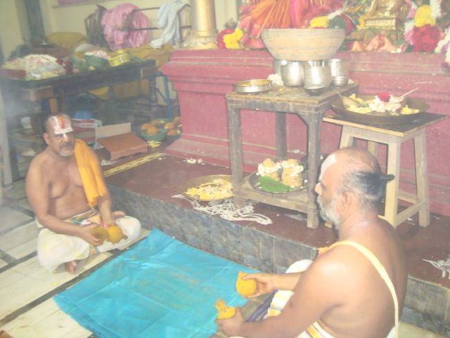 Mumbai Sri Balaji Mandir Thiruvadipooram Utsavam day 3-2015 31