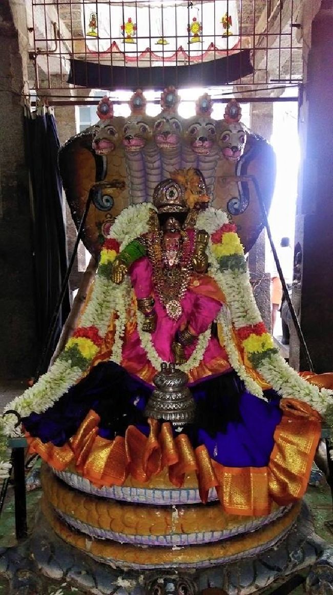 Mylai Sri Adhikesavaperumal kovil Adipoora utsavam day 1 & 2- 2015 01