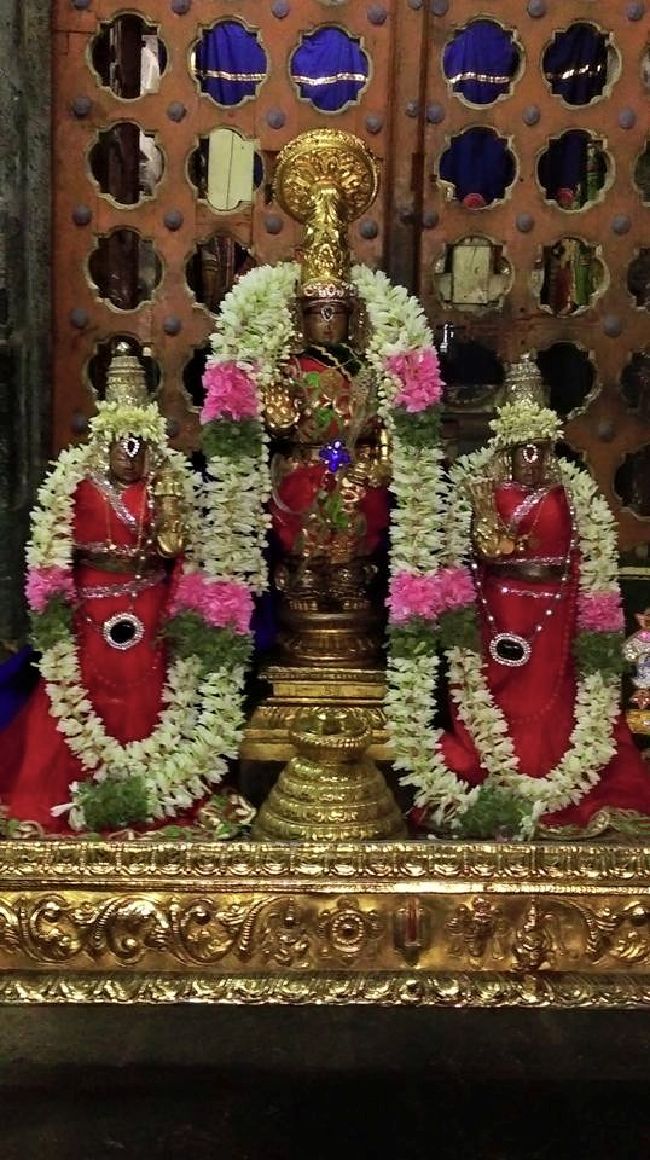 Mylai Sri Adhikesavaperumal kovil Adipoora utsavam day 1 & 2- 2015 06
