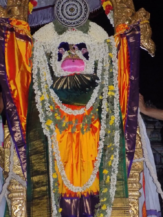 Mylapore SVDD Srinivasa Perumal Temple Manmadha Varusha Aadi Garudan10