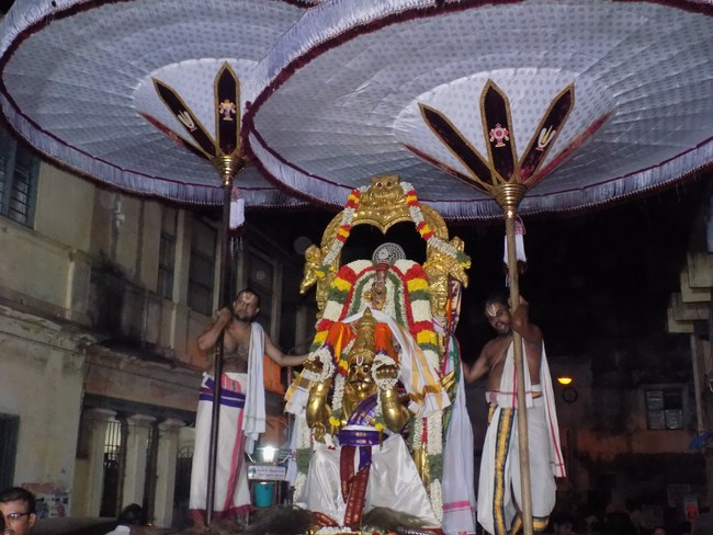 Mylapore SVDD Srinivasa Perumal Temple Manmadha Varusha Aadi Garudan11