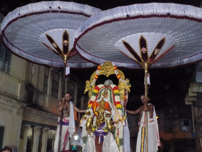 Mylapore SVDD Srinivasa Perumal Temple Manmadha Varusha Aadi Garudan12