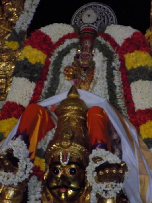 Mylapore SVDD Srinivasa Perumal Temple Manmadha Varusha Aadi Garudan4
