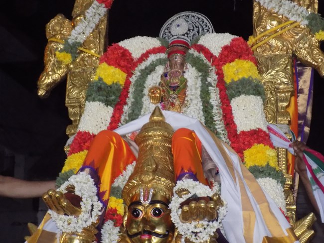 Mylapore SVDD Srinivasa Perumal Temple Manmadha Varusha Aadi Garudan7