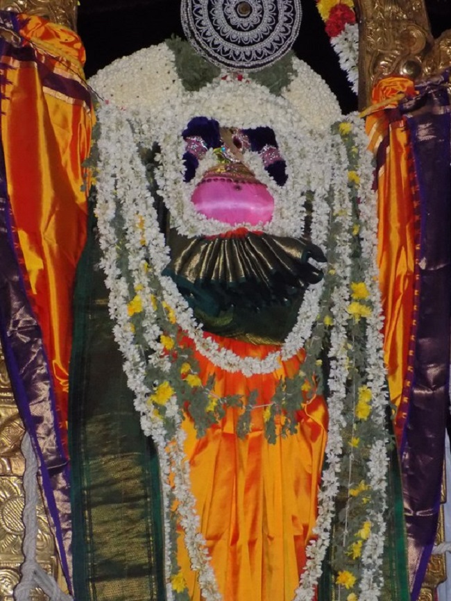 Mylapore SVDD Srinivasa Perumal Temple Manmadha Varusha Aadi Garudan9