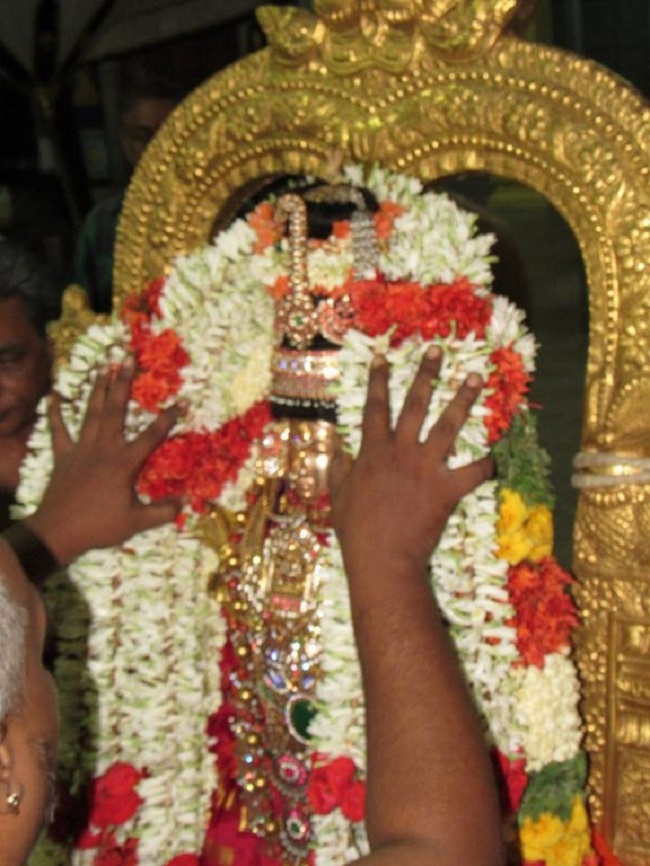 Mylapore SVDD Srinivasa Perumal Temple Manmadha Varusha Thiruvadipooram Utsavam11