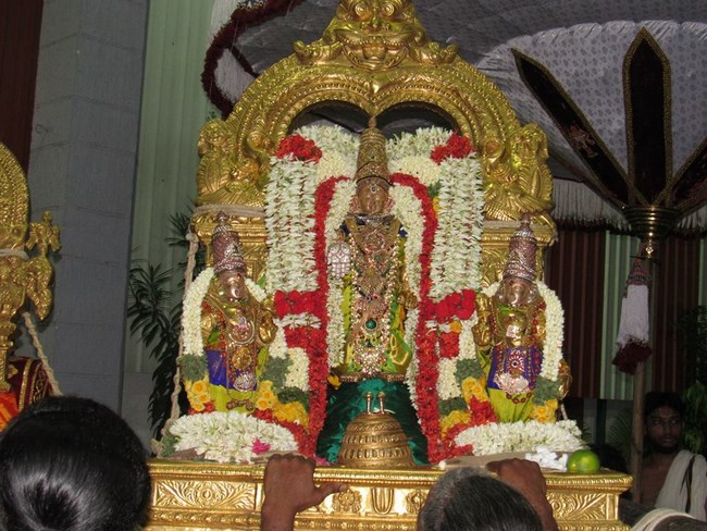 Mylapore SVDD Srinivasa Perumal Temple Manmadha Varusha Thiruvadipooram Utsavam32