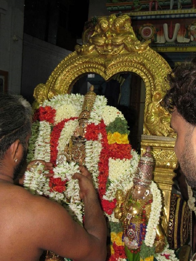 Mylapore SVDD Srinivasa Perumal Temple Manmadha Varusha Thiruvadipooram Utsavam5