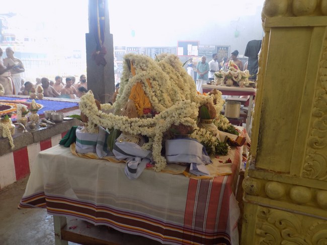 Mylapore SVDD Srinivasa Perumal Temple Sri Sudharshana Homam1