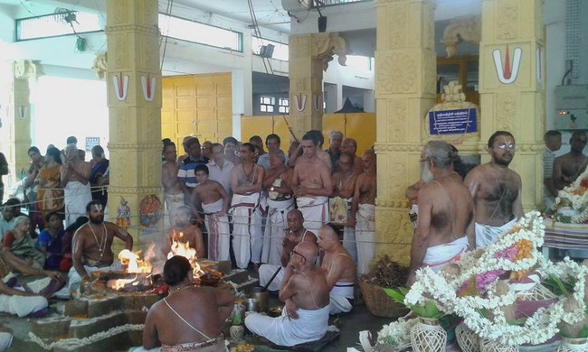 Mylapore SVDD Srinivasa Perumal Temple Sri Sudharshana Homam22