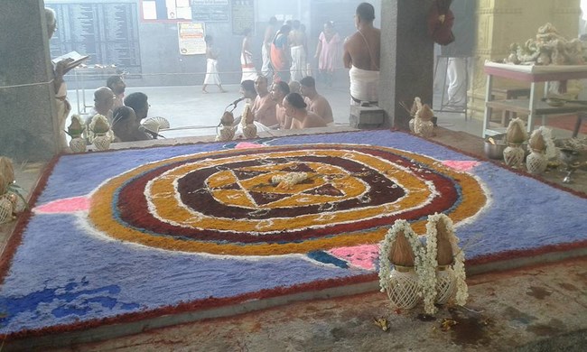 Mylapore SVDD Srinivasa Perumal Temple Sri Sudharshana Homam3