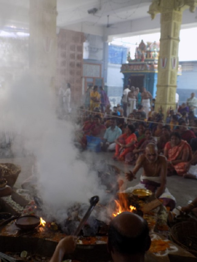 Mylapore SVDD Srinivasa Perumal Temple Sri Sudharshana Homam4