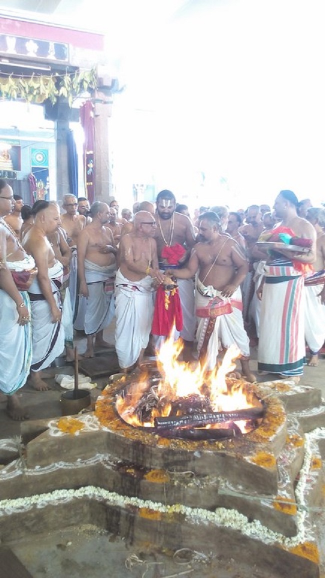 Mylapore SVDD Srinivasa Perumal Temple Sri Sudharshana Homam6
