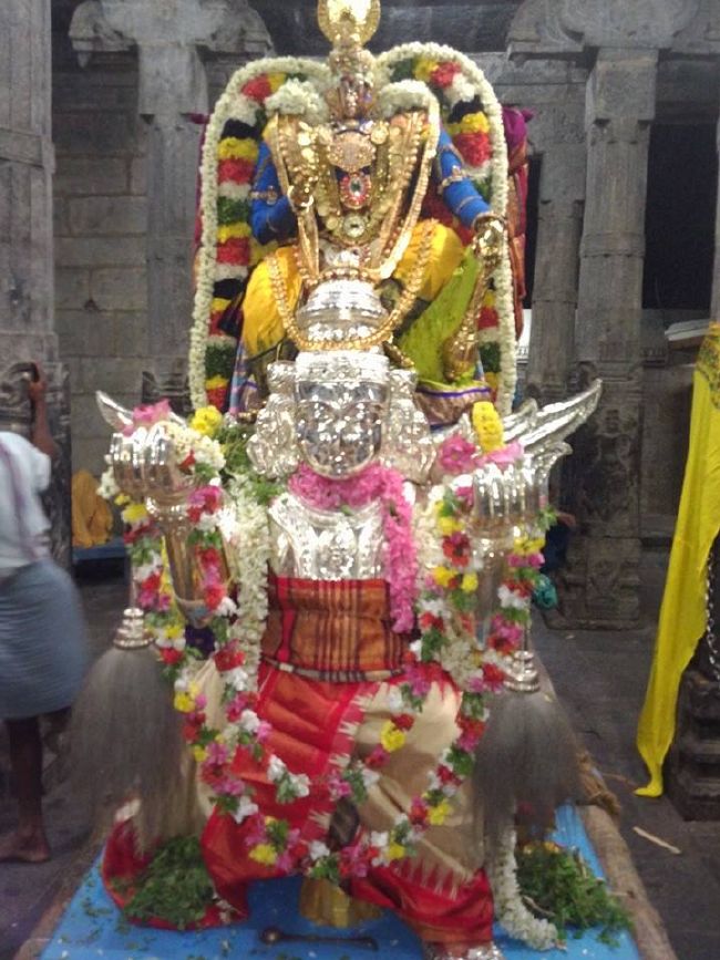 Namakkal Sri Varadaraja Perumal Temple Thirukalyana Utsavam-2015 06