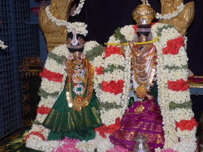 Nanganallur Sri Lakshmi Narasimhar Navaneetha Krishnan Temple Manmadha Varusha Thiruvadipooram Utsavam3